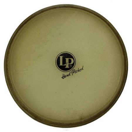 Drum Workshop Evans Synthethic Head Requinto Z Series LP803AE